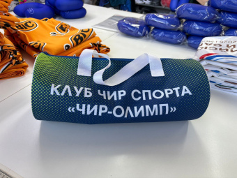 Сумка спортивная 50*20