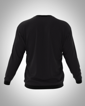 533 свитшот мужской спина