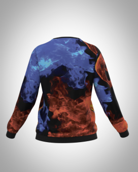 свитшот А 005 спина